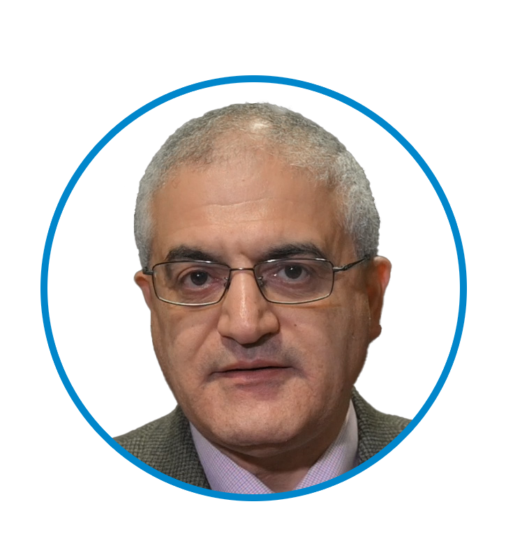 Prof. Ahmed Elsheikh, PhD